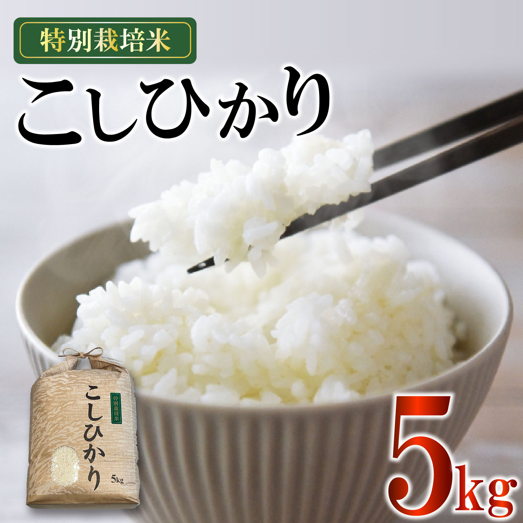 
            米 こしひかり 5kg 農家直送 特別栽培米 精米 コシヒカリ 令和7年度産 お米 新生活 贈り物 人気米 ご飯 白米 コメ ご飯 ごはん 仕送り おこめ  贈答 藤枝産 藤枝 ふじえだ 静岡県 藤枝市 1万円以上			
          