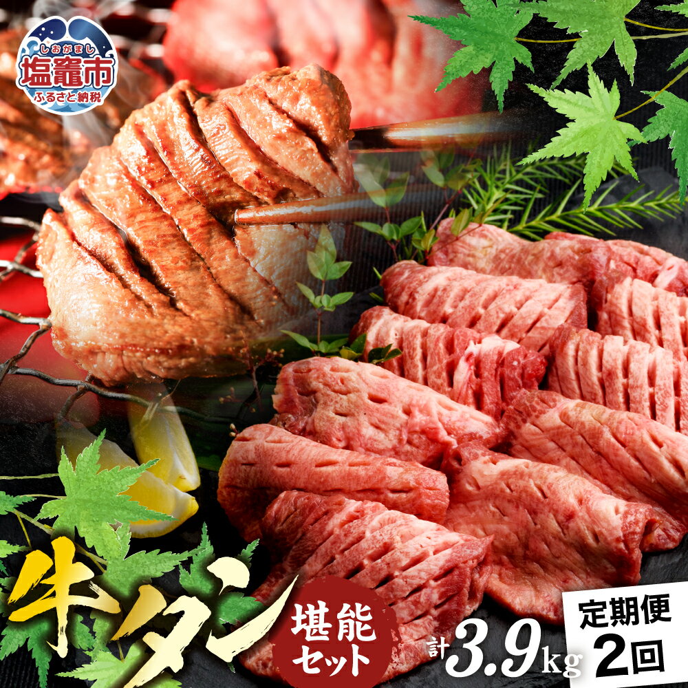 【ふるさと納税】 定期便 本場牛タン堪能贅沢セット（全2回）