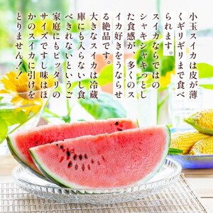 小玉スイカ 約3Lサイズ2玉入り(益城町)【配送不可地域：離島】【1388558】