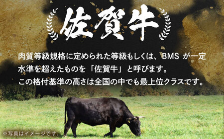 【偶数月発送】佐賀牛リッチセレクション定期便【多久精肉店】[HCX007]