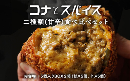 コナとスパイス 2種類 食べ比べセット (保冷バッグなし) カレーパン パン ぱん セット 詰め合わせセット お土産 贈り物 ベーカリー グルメ 冷凍 国産 栃木県 那須町〔P-189〕 