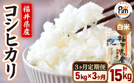 【米の定期便3ヶ月】令和7年産 コシヒカリ精米 5kg × 3回（計15kg）福井県産【  ごはん 人気品種 産地直送 新生活 】 [e66-d004]