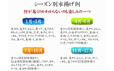 【12ヶ月定期便 / 下処理する】鮮魚セット 三陸海の恵み詰め合わせ  (1回あたりのお届け目安：1～2人用) 【 鮮魚 海鮮 お刺身 魚介 魚介類 鮮魚BOX 詰め合わせ セット 三陸産 国産 天然