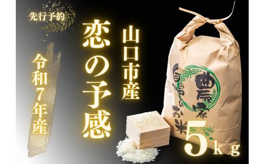 D397 農家直送！山口市産新米「恋の予感」精米5kg