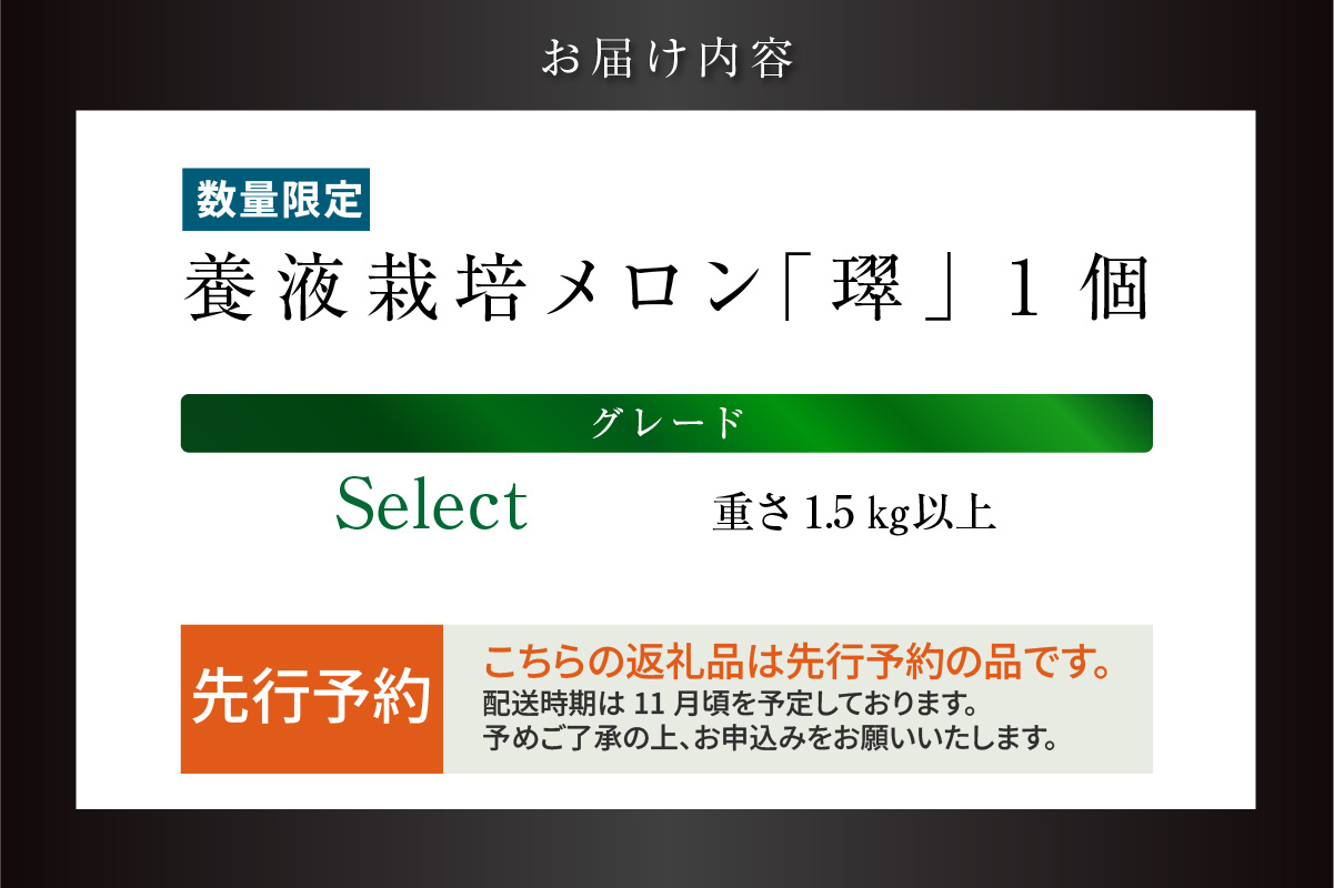 【先行予約】養液栽培メロン「?」1玉【Select】（重さ1.5kg以上）｜メロン めろん フルーツ 常滑市