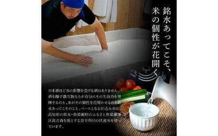 ふるさと納税限定 美丈夫『田野ラベル』一升瓶 純米酒＆純米吟醸2種 1800ml×各1本セット【美丈夫】