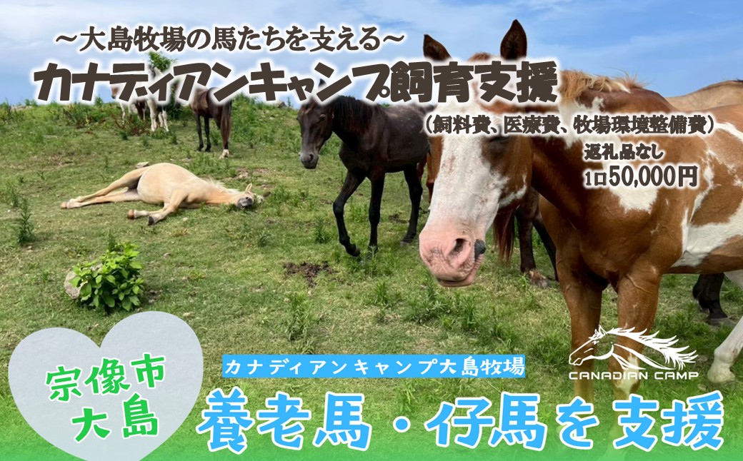 【返礼品なし】引退馬・仔馬の飼育支援 50,000円【カナディアンキャンプ乗馬クラブ】_HA2058 馬 仔馬 飼育支援 牧場 福岡県宗像市 宗像市 福岡 宗像
