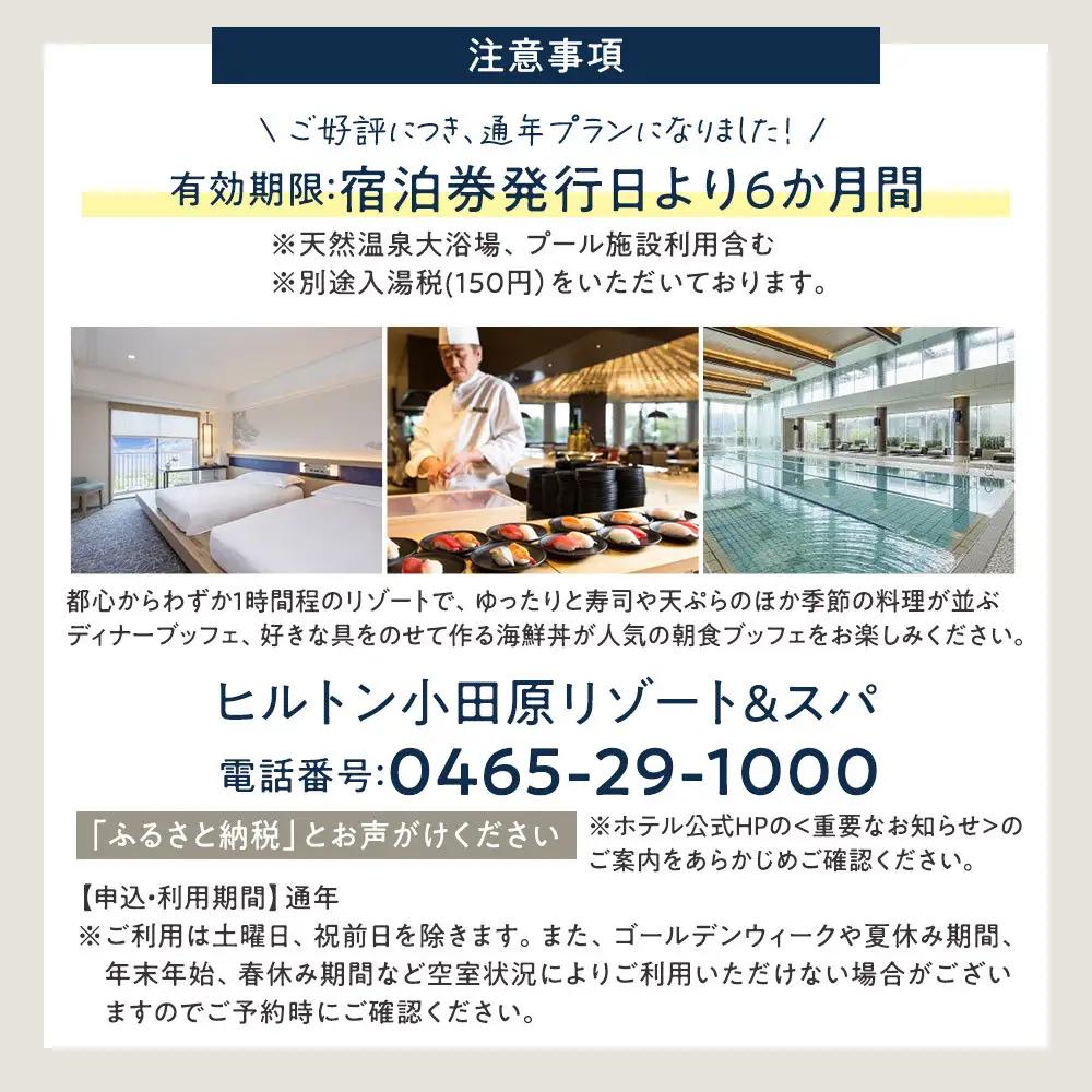 土日祝宿泊OK!　ヒルトン・スーペリア・ツインルーム宿泊プラン　1泊夕朝食付き＜1組2名様＞★オーシャンビュー！天然温泉大浴場、プール施設利用含む【 ホテル  ヒルトン】
