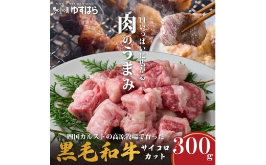 低温でも脂身がとろけるゆすはら牛サイコロカット 300g　牛肉 和牛 黒牛 BBQ オレイン酸 高知県産
