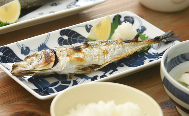 【波佐見焼】染付古波佐見 長角皿 5柄セット【natural69】 [QA114]