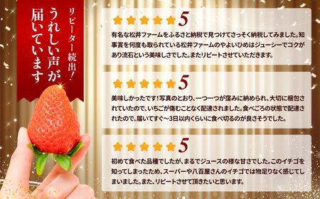 いちご お徳用 やよいひめ デラックスパック 約300g×4パック いちご