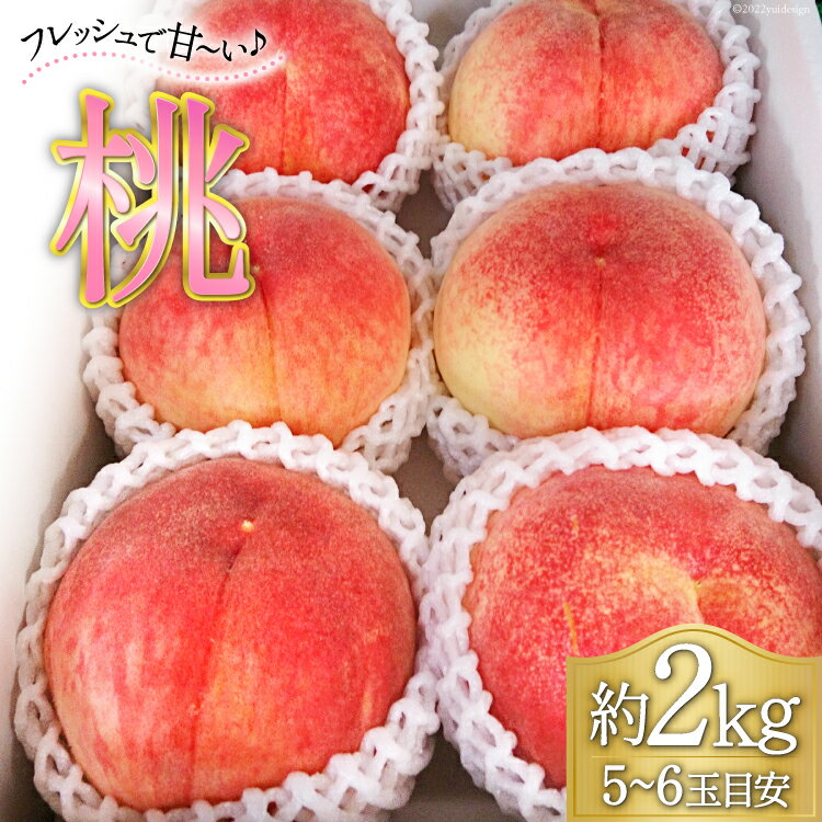 【ふるさと納税】【2025年発送】 桃 5～6玉 約2kg《7月後半～8月前半出荷》 [フルーツランド平賀 山梨県 韮崎市 20742841] モモ 果物 フルーツ 2キロ 山梨県産 産地直送 季節限定 期間限定 冷蔵