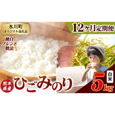ふるさと納税 氷川町 【12ヶ月定期便】ひごみのり 白米 熊本県産 ブレンド米 5kg《お申込み翌月から出荷》