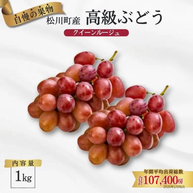 ぶどう クイーンルージュ®  約1kg ／2026年9月下旬～10月頃 配送予定［TK13］//稀少 新品種 長野県 南信州 松川町産 高糖度 葡萄 クインルージュ 甘い 種なし 皮ごと 先行予約
