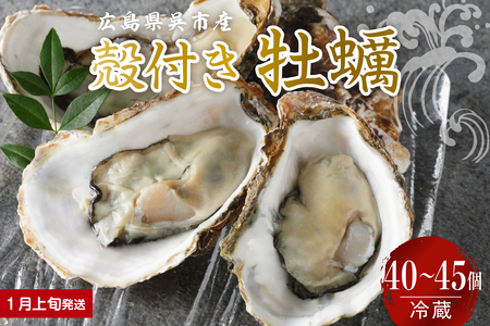 【2026年1月上旬発送】宮原水産 かき 殻付き 40～45個 ku005-013-02-1-25