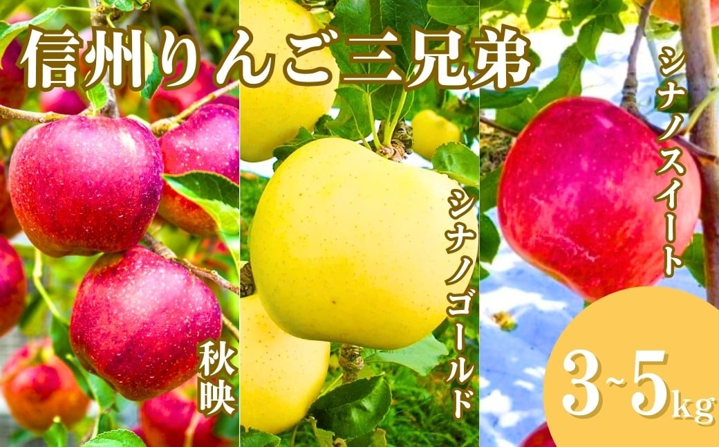 
            【2026年先行予約】りんご３種詰め合わせ りんご三兄弟（秋映・シナノスイート・シナノゴールド）計約3kg/約5kg | 林檎 あきばえ 食べ比べ セット 千曲市 長野県産 信州
          
