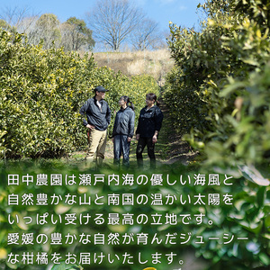  伊予柑 いよかん 約10kg  【家庭用】【1月上旬から順次発送】柑橘類 先行予約 フルーツ 柑橘類 先行予約 果物 フルーツ みかん イヨカン 宮内伊予柑 人気 おすすめ 愛媛 松山 田中農園【T