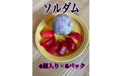 酸味と甘味の調和すもも【ソルダム】4個入り×6パック生産者直送【2025年発送】（ISI）B12-159【ソルダム すもも スモモ 令和7年発送 期間限定 山梨県産 甲州市 フルーツ 果物】