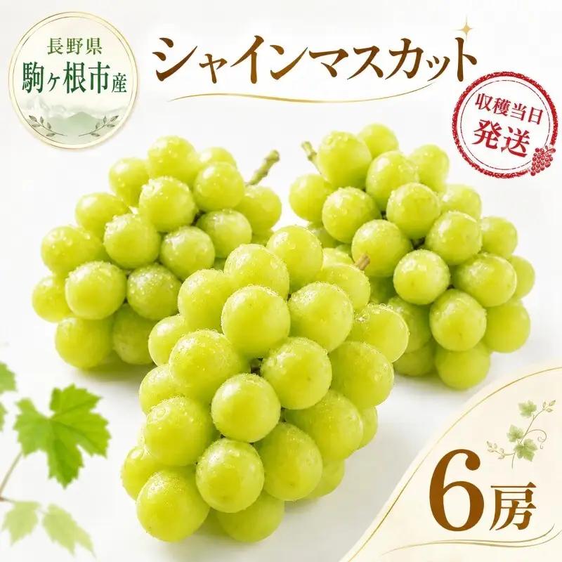 駒ヶ根産シャインマスカット6房 ブドウ ぶどう 葡萄 果物 フルーツ 季節限定 産地直送 産直 駒ヶ根市