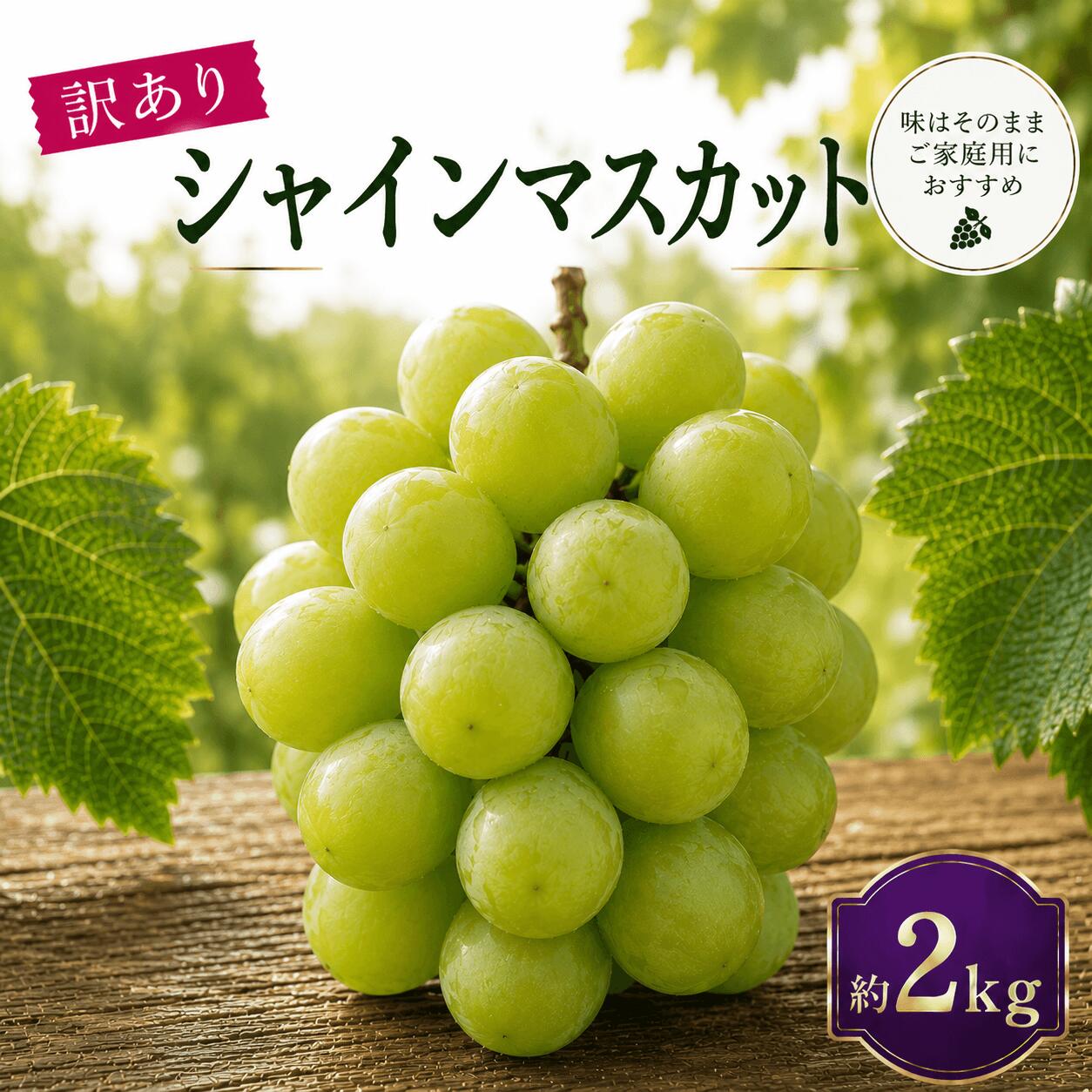 【ふるさと納税】シャインマスカット 約2kg 訳あり《9月中旬-11月中旬出荷予定(土日祝除く)》広島県 神石高原町 果物 フルーツ ぶどう シャインマスカット 送料無料