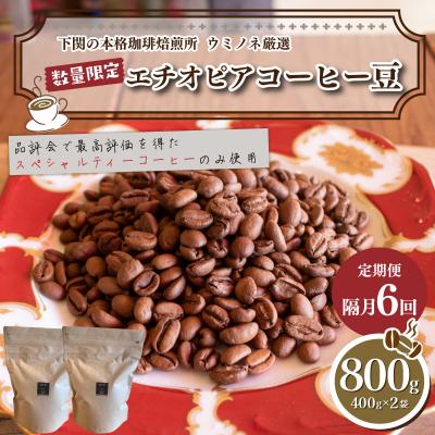 ふるさと納税 下関市 【定期便】【豆】 訳あり エチオピアコーヒー豆 800g 隔月6回 EW184
