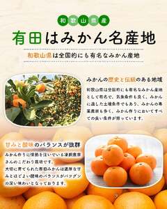【訳あり・ご家庭用】完熟有田みかん  サイズ混合(2S～2L)　約10.2kg(10kg+200g)【2026年9月中旬～10月上旬頃に順次発送予定】【AA90138-ard197F-09】