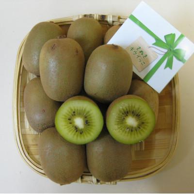 ふるさと納税 観音寺市 【発送月固定定期便】観音寺市フルーツ定期便全6回 |  | 01