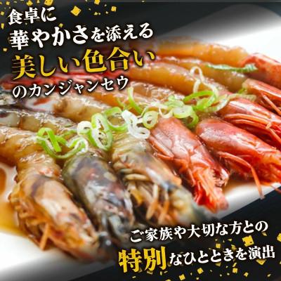 ふるさと納税 南知多町 車えび・赤えびの南知多カンジャンセウ 食べ比べセット |  | 02