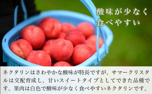 サマークリスタル 約2.6kg ［おぶせファーマーズ］先行予約 ネクタリン 果物 フルーツ 冷蔵便 クール便 長野県産 信州産  令和8年産【2026年7月中旬～8月上旬発送】