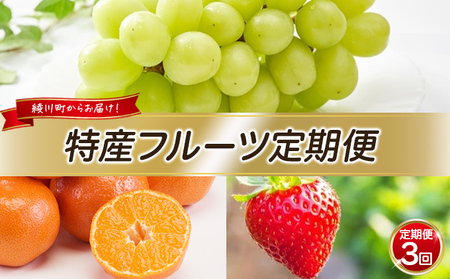フルーツ定期便 特産 果物 柑橘 いちご フルーツ定期便【年3回】