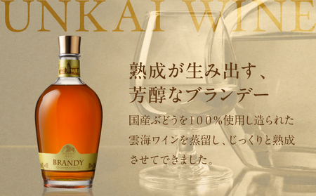 【最速便】雲海葡萄酒醸造所 ブランデー 720ml ワイン 果実酒 ギフト