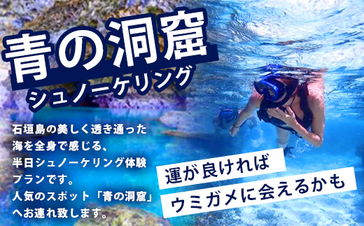 石垣島の自然を満喫！石垣島1日アクティビティ (利用券 1名様分) NS-2