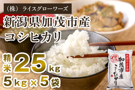【令和7年産】新潟県 加茂市産コシヒカリ 25kg（5kg×5）《順次出荷》 （株）ライスグローワーズ
