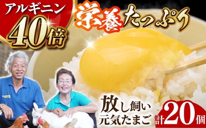 
アルギニン 元気たまご 20個 自然栽培 【浅田峠自然塾】 [EA01]
