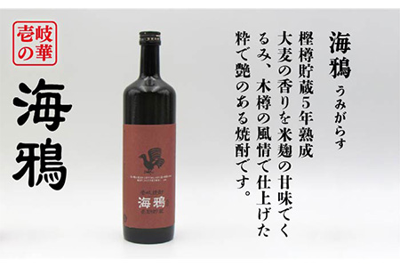 【全12回定期便】海鴉25度とちんぐ25度のセット [JDB188] 192000 192000円