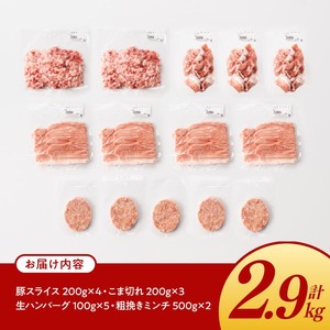 宮崎県産豚肉 「まるみ豚」 肉肉セット計2.9kg 【 肉 豚肉 国産 モモ ミンチ ハンバ―グ スライス こま切れ 弁当 おかず お手軽 真空パック 九州産 宮崎県産 川南町産 送料無料 】