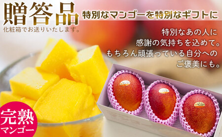 【2025年発送】農園一番人気の完熟アップルマンゴー秀品・2kg以上農園から直送！ 秀品 先行予約 沖縄 甘味 糖度 濃厚 美味しい お土産 おいしい ギフト とろける甘さ 香り アーウィン 果汁 高