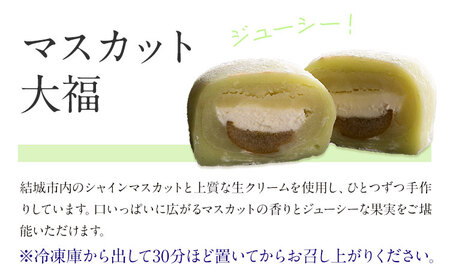 【富士峰菓子舗】ゆでまんじゅう・シャインマスカット大福詰め合わせ（計12個）