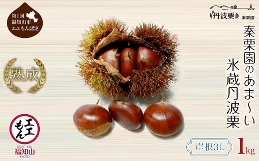 ＜先行予約受付中！2026年11月中旬以降順次発送予定！＞秦栗園のあま～い氷蔵丹波栗(岸根・3L・1kg) 【fc-AC002-I】【秦栗園】
