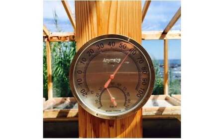 天日海塩 土佐 塩丸 白丸 お試し 30g×2袋 粗塩 粗い粒 天日塩 自然塩 海水塩 調味料 塩 小分けセット 白丸塩 振り塩 仕上げ塩 下味塩 料理用 塩 丸塩 粗粒 塩2袋 土佐の塩丸 高知 黒