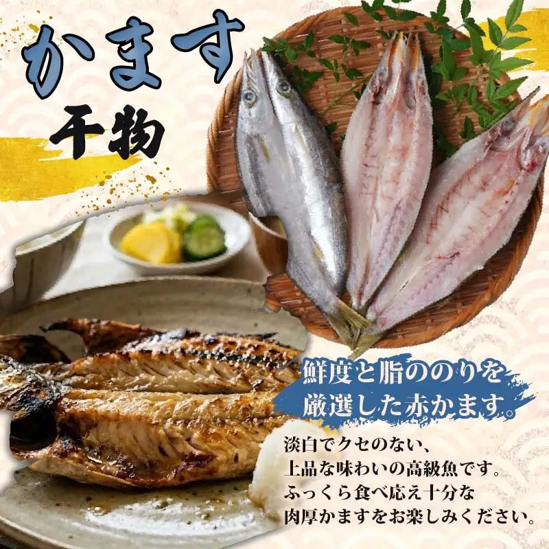 【小木曽商店】干物詰合せ【Eセット】　定期便　２ヶ月　２回