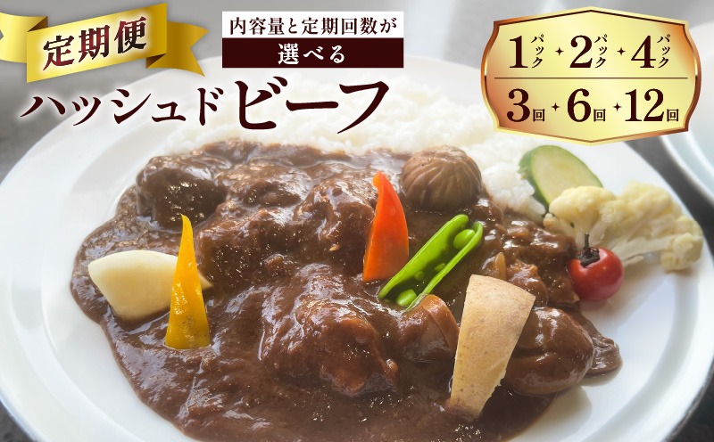 ＜容量と回数が選べる＞【洋食グリル肝付】定期便 ハッシュドビーフ　K084-T00_SKU