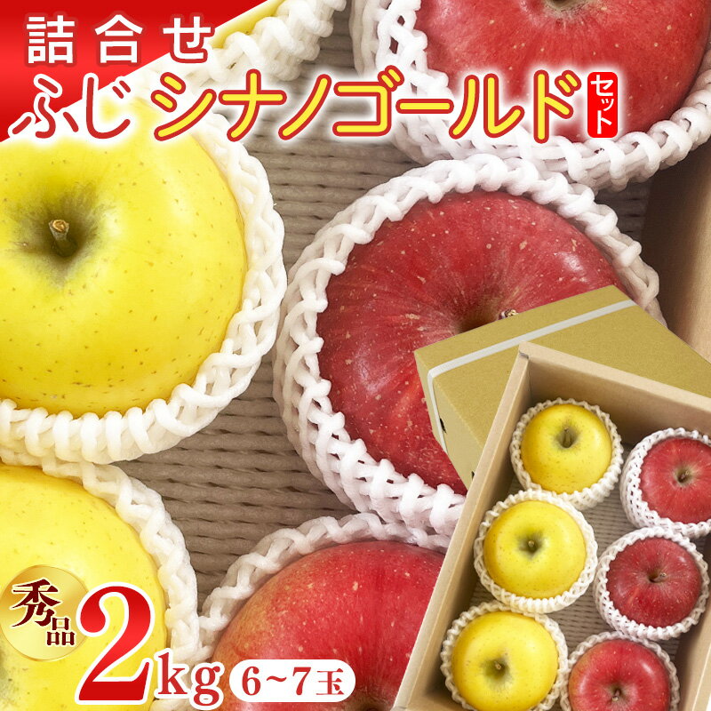 【ふるさと納税】【先行予約】令和8年産 《詰合せ》 2種 りんご ふじ シナノゴールド セット 秀品 2kg ( 6 - 7玉 ) 山形県産【2026年11月中旬頃から12月中旬頃発送予定】2026年産 フルーツ 詰め合わせ 果物 果実 山形産