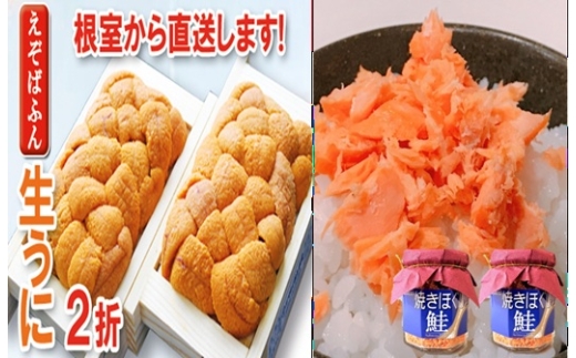 B-71028 エゾバフンウニ約60～70g×2折・焼きほぐし鮭100g×2瓶[10月下旬以降発送]
