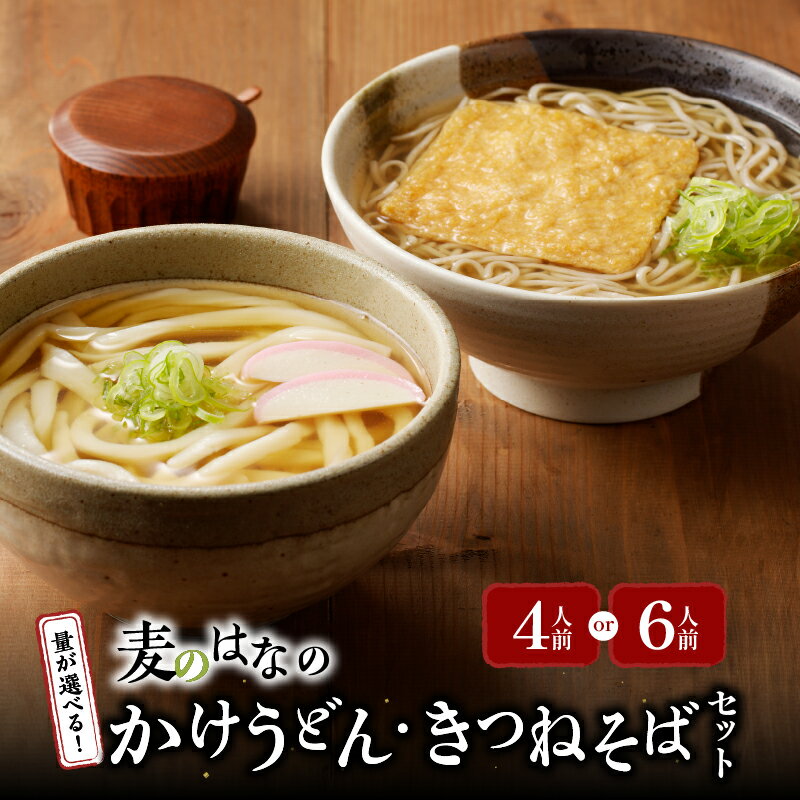 【ふるさと納税】＜選べる＞ 麦のはな の かけうどん きつねそば セット 4人前 or 6人前 うどん そば 蕎麦 麺 麺類 手打ちそば かけそば 石臼挽き そば粉 かつお削り節 鹿児島市 生そば 出汁 こだわり 謹製 粋麺麦のはな えん 鹿児島 おすすめ ランキング プレゼント ギフト
