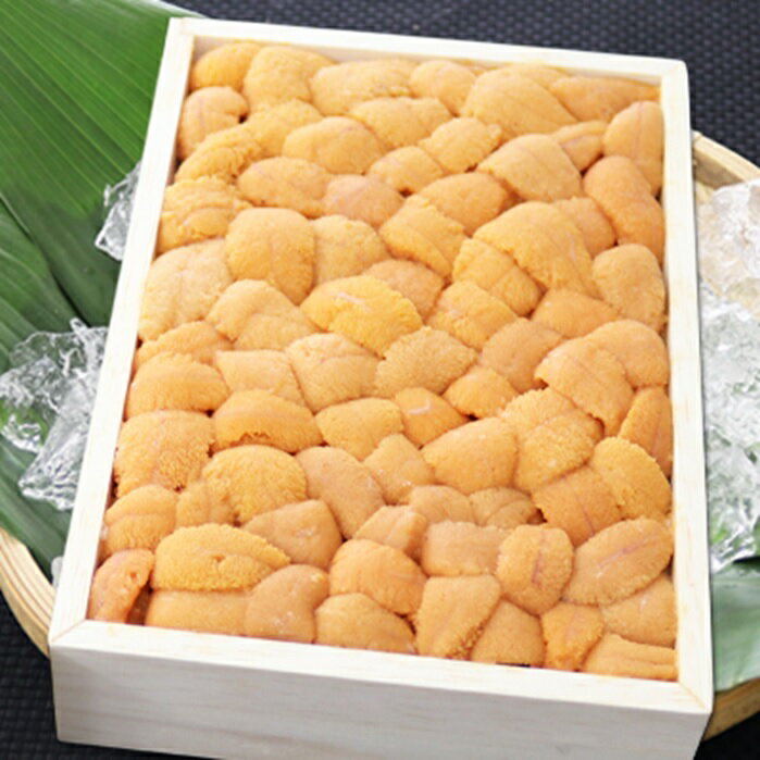 【ふるさと納税】エゾバフンウニバラ詰め(赤系)約250g×1折[11月上旬以降発送] C-71028