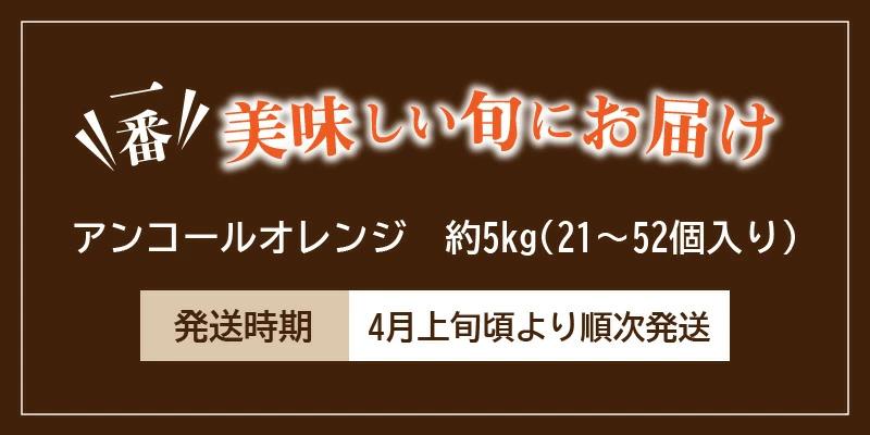 M02-0106_【ふるさと納税】【先行予約】【配送不可地域:北海道・沖縄県・離島】希少な果実!「アンコールオレンジ」 約5kg  秋 旬