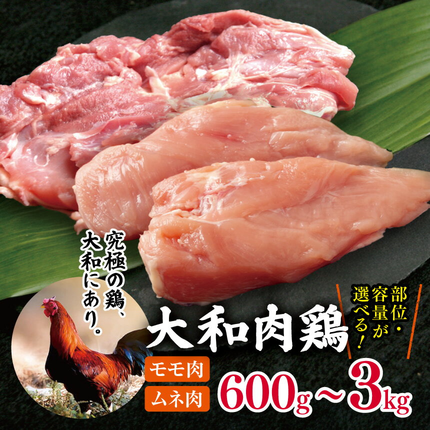 【ふるさと納税】【選べる部位＆内容量】大和肉鶏 モモ肉 or ムネ肉 600g / 1.2kg / 1.8kg / 2.4kg / 3.0kg | 大和肉鶏 肉 にく ニク お肉 鶏肉 国産冷凍 ステーキ | 奈良県 五條市