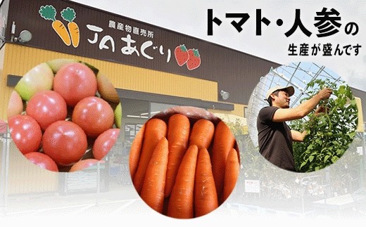 野菜定期便《JA小松市（隔月） 定期便６ヶ月》季節の野菜詰合せ 6回
