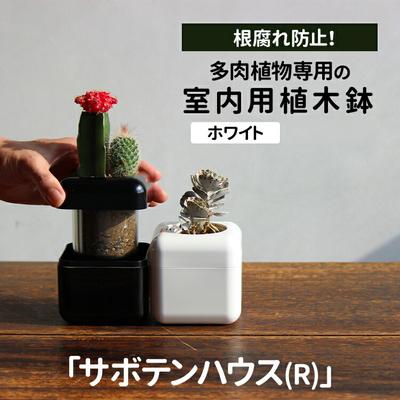 ふるさと納税 古河市 【ホワイト】多肉植物専用の室内用植木鉢「サボテンハウス(R)」 キューブ型 _GD01
